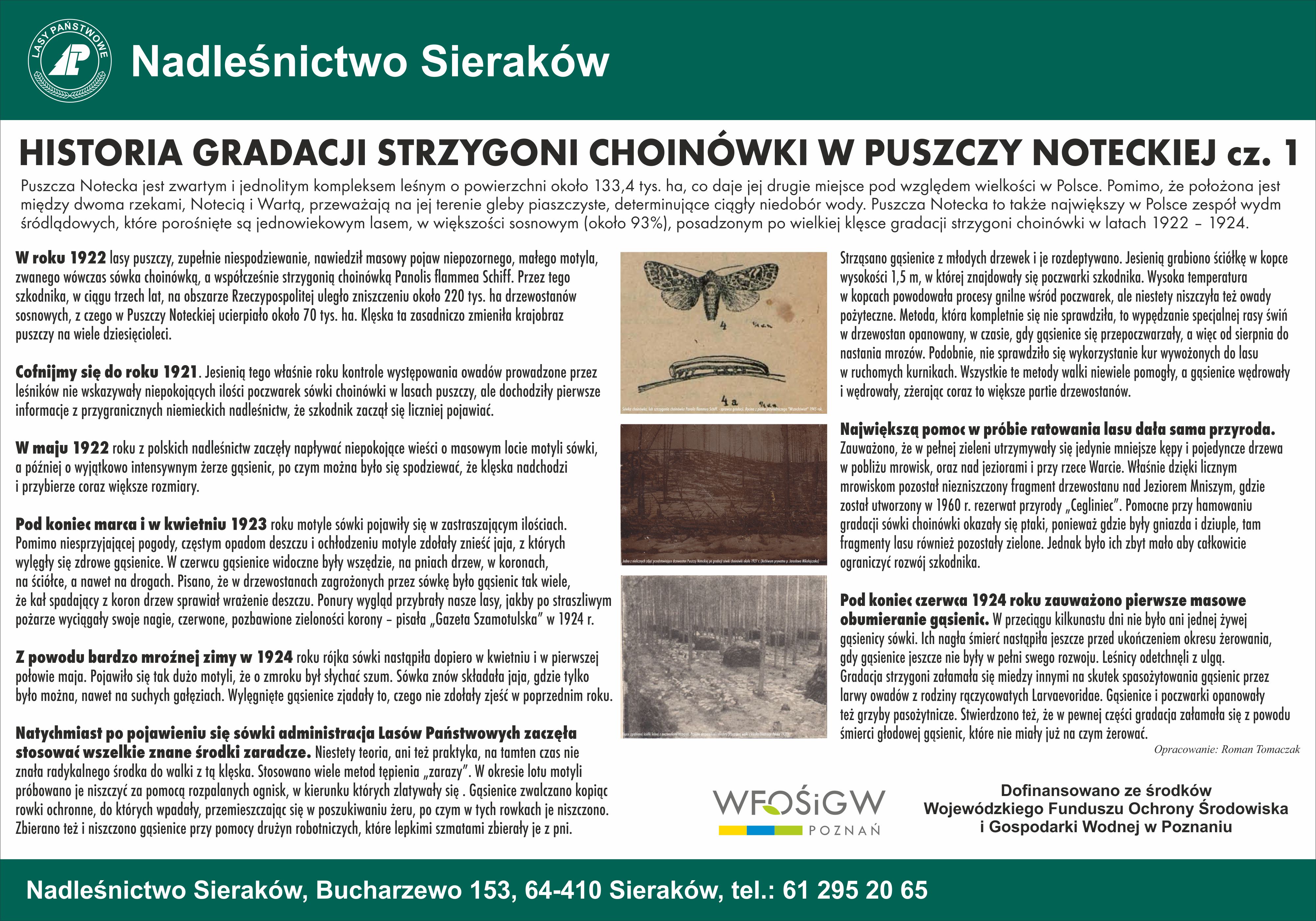 Tablica edukacyjna pod tytułem Historia gradacji strzygoni choinówki w Puszczy Noteckiej część pierwsza