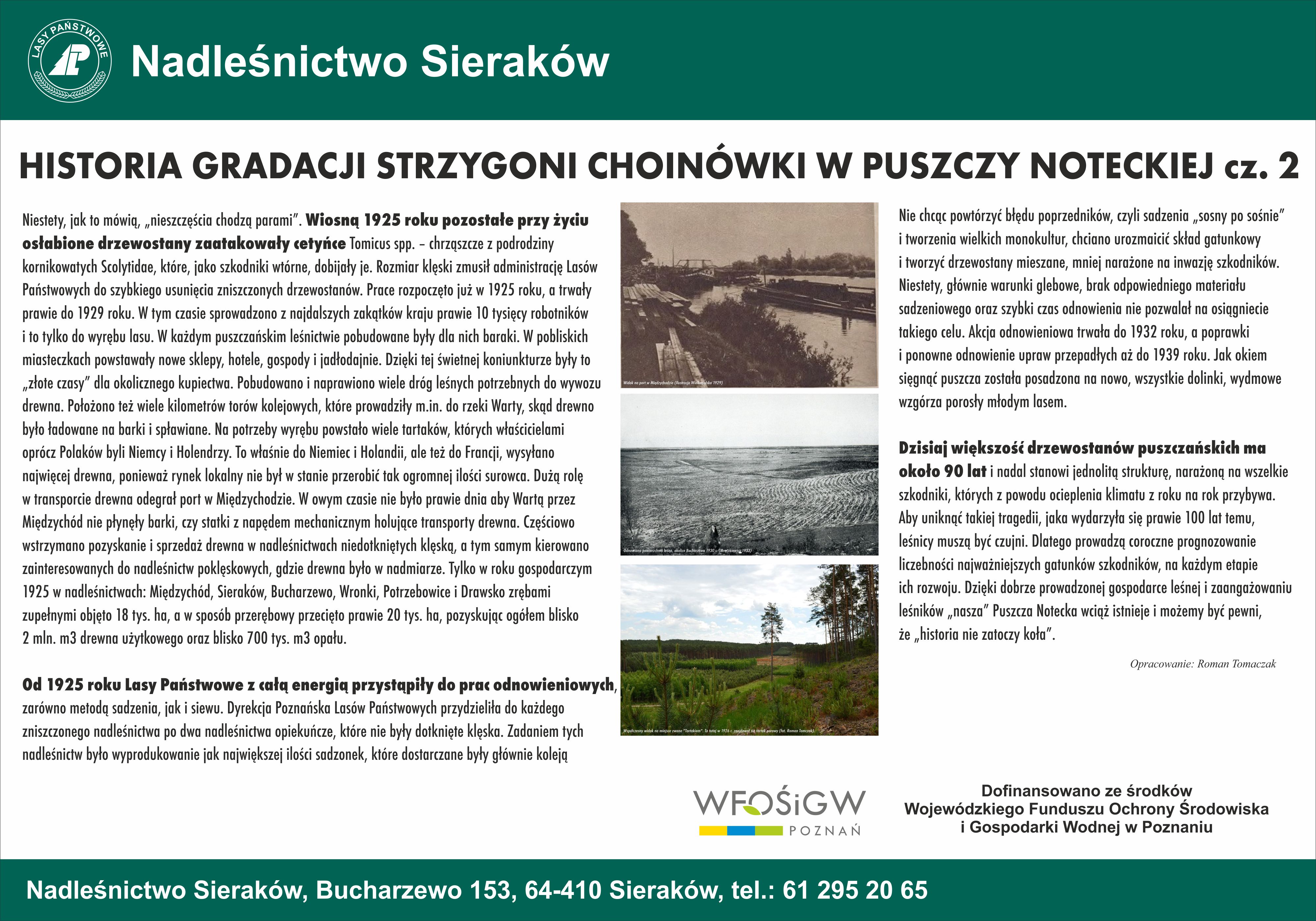 Tablica edukacyjna pod tytułem Historia gradacji strzygoni choinówki w Puszczy Noteckiej część druga