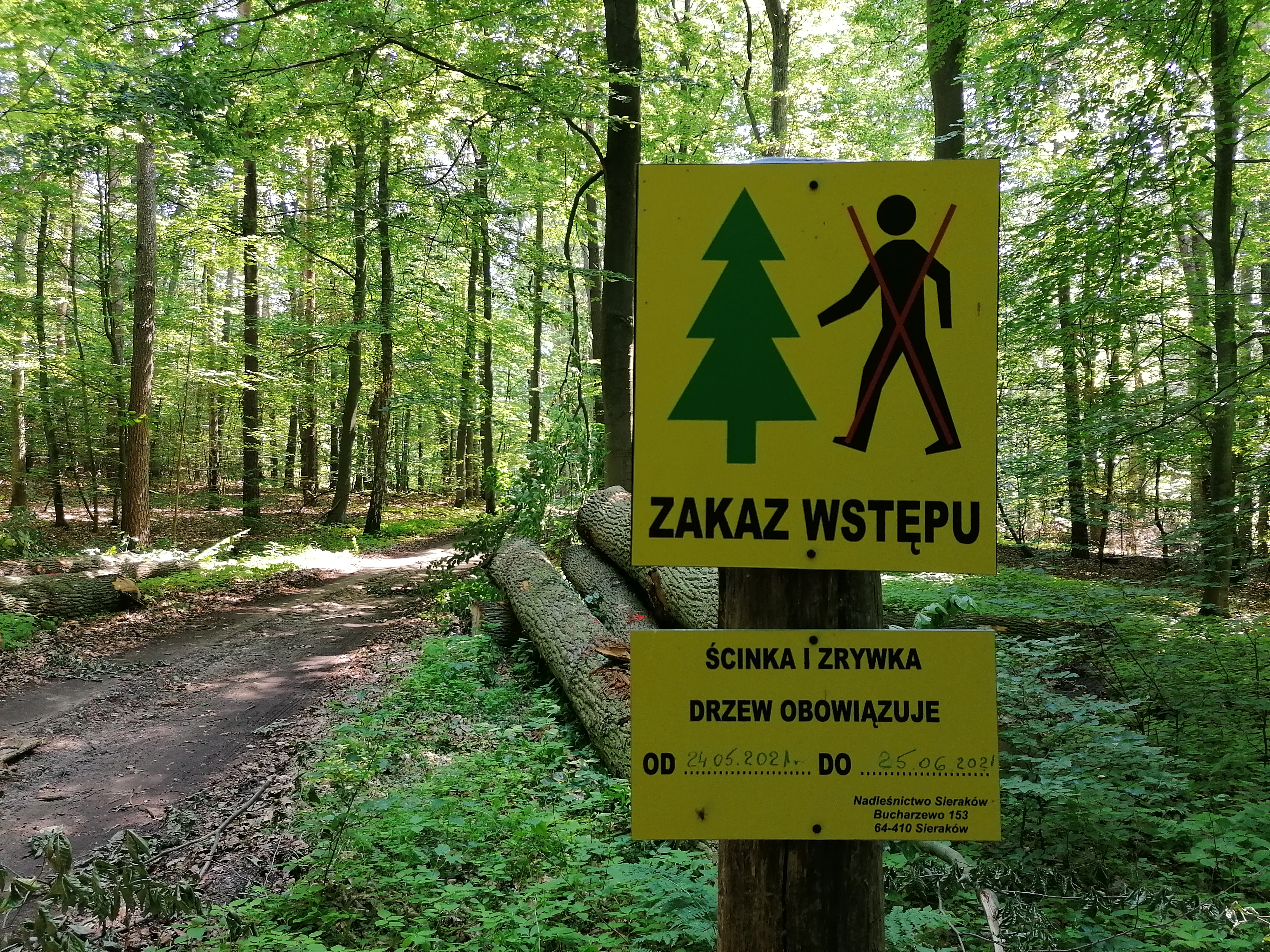 Zdjęcie przedstawia znak zakazu wstępu do lasu z powodu prac związanych z pozyskaniem drewna. Fot. Paweł Mizera Nadleśnictwo Sieraków