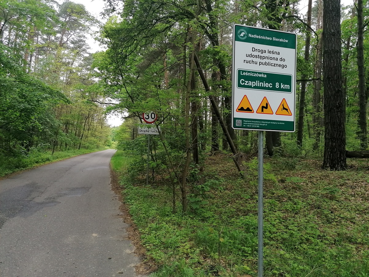 Zdjęcie przedstawia znaki drogowe przy drodze leśnej udostępnionej do ruchu publicznego. Fot. Paweł Mizera Nadleśnictwo Sieraków