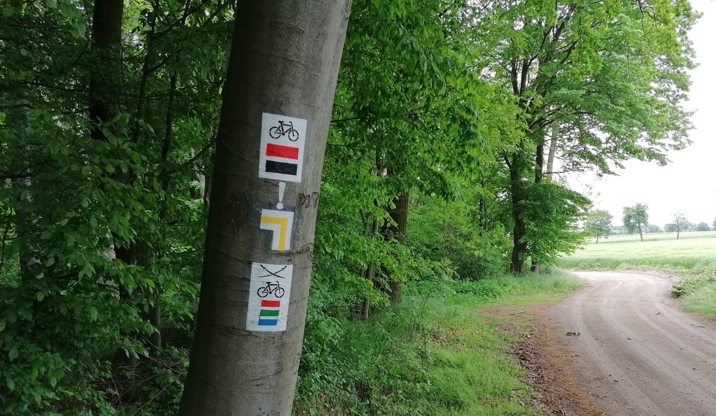 Zdjęcie przedstawia oznaczenia szlaków turystycznych pieszych i rowerowych na pniu drzewa. Fot. Bartosz Stępień Nadleśnictwo Sieraków