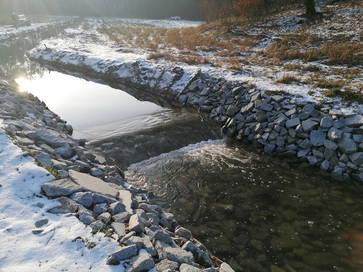 Zdjęcie przedstawia próg kamienny piętrzący wodę w cieku (fot. Waldemar Ciesielski Nadleśnictwo Sieraków, 31.12.2021 r.).