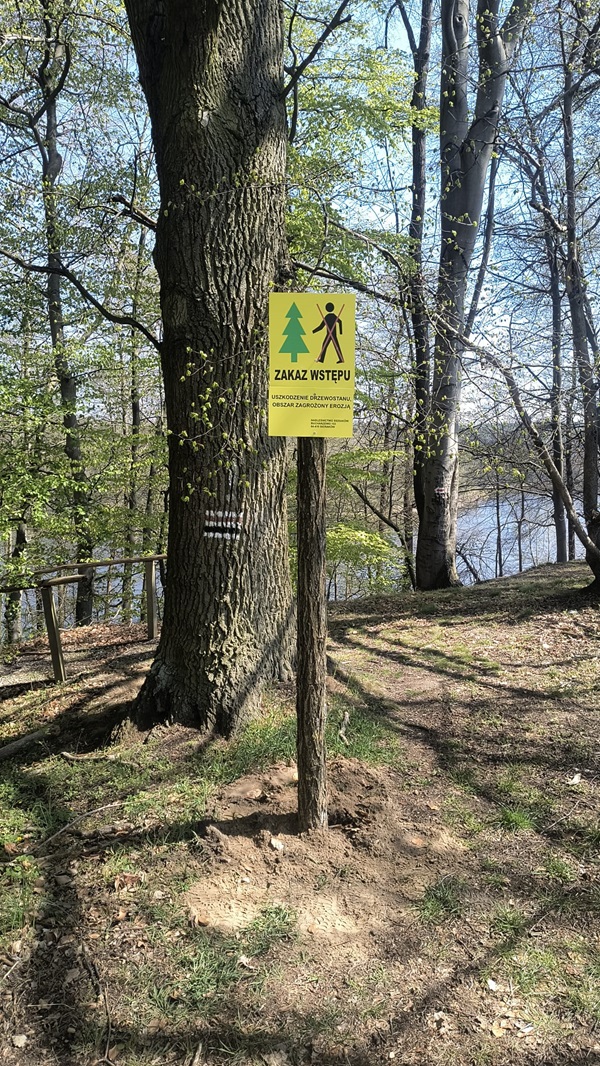 Zdjęcie przedstawia znak zakazu wstępu do lasu w związku z uszkodzeniem drzewostanu i zagrożeniem erozją. Fot. Krzysztof Jaskóła Nadleśnictwo Sieraków