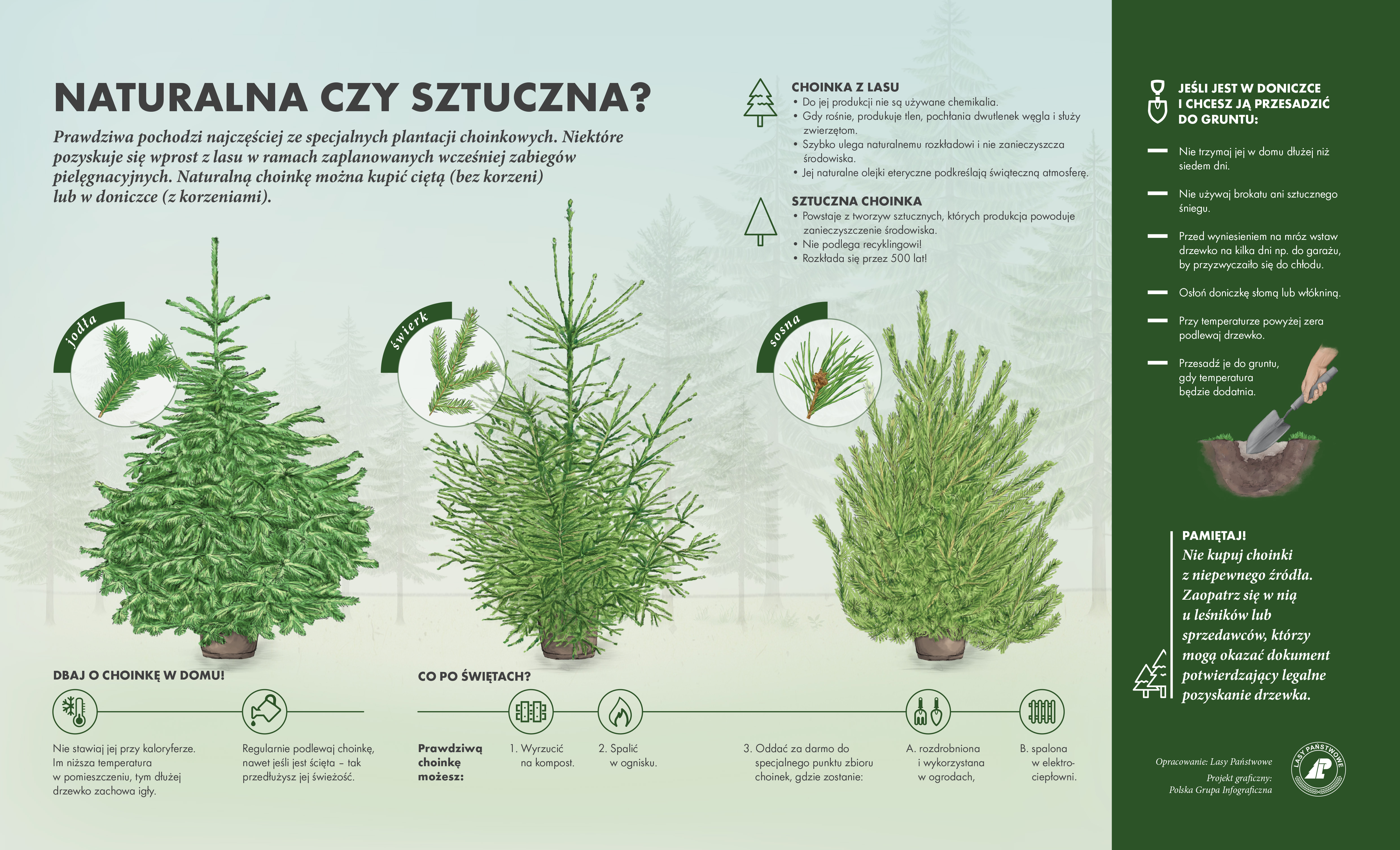 Infografika przedstawiająca porónanie wad i zalet choinki naturalnej oraz sztucznej. Do produkcji choinki z lasu nie są używane chemikalia. Gdy rośnie produkuje tlen, pochłania dwutlenek węgla i służy zwierzętom. Ulega naturalnemu rozkładowi. Jej naturalne olejki eteryczne podkreślają świąteczną atmosferę. Choinka sztuczna powstaje z tworzyw sztucznych, których produkcja powoduje zanieczyszczenia. Nie podlega recyklingowi. Rozkłada się ponad 500 lat.