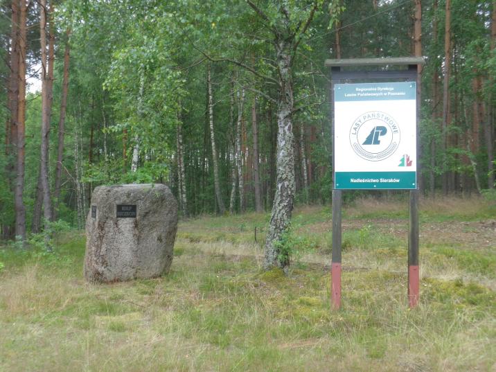 &#x22;Kamień&#x20;3&#x20;Dyrektorów&#x22;&#x20;w&#x20;najdalej&#x20;wysuniętym&#x20;na&#x20;północ&#x20;punkcie&#x20;nadleśnictwa&#x20;&#x28;fot&#x2e;&#x20;Paweł&#x20;Mizera&#x29;