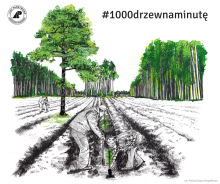 1000 drzew na minutę!