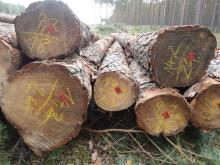 Spotkanie dotyczące Zasad Sprzedaży Drewna