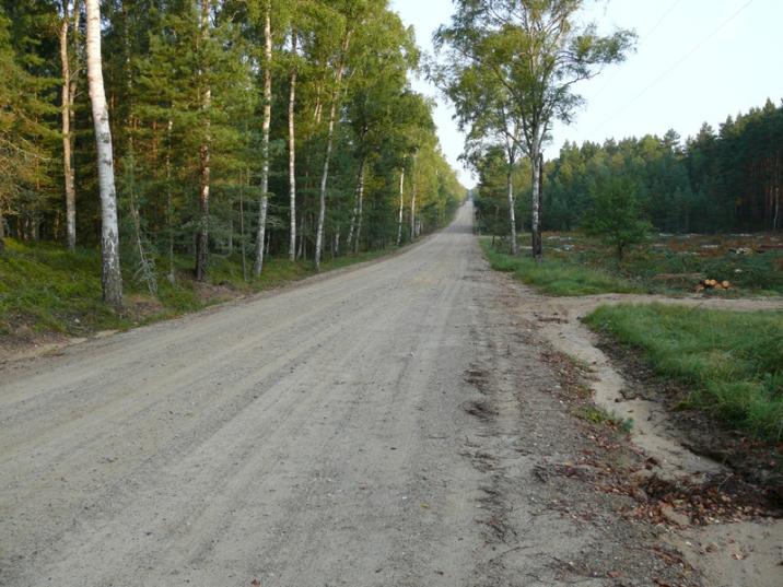 Fot&#x2e;&#x20;Rafał&#x20;Tomczak&#x20;Nadleśnictwo&#x20;Sieraków