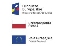 Realizacja działań projektowych