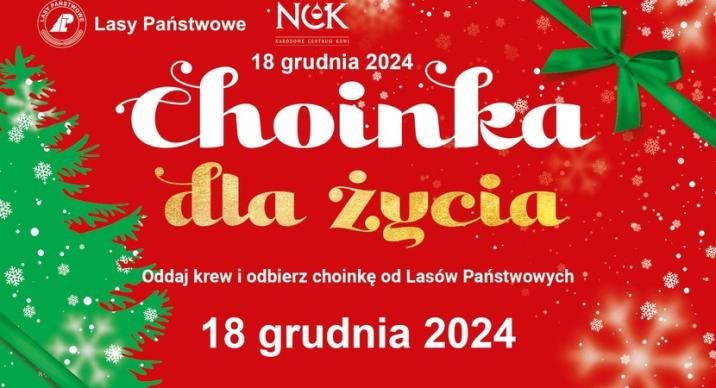 Plakat&#x20;informujący&#x20;o&#x20;akcji&#x20;pod&#x20;nazwą&#x20;choinka&#x20;dla&#x20;życia&#x2e;&#x20;18&#x20;grudnia&#x20;2024&#x20;r&#x2e;&#x20;oddaj&#x20;krew&#x20;i&#x20;odbierz&#x20;choinkę&#x20;od&#x20;Lasów&#x20;Pańśtwowych&#x2e;