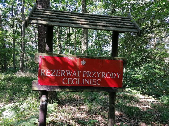 Zdjęcie przedstawia tablicę urzędową rezerwatu przyrody Cegliniec (fot. Paweł Mizera Nadleśnictwo Sieraków). Rezerwaty przyrody są przykładem powierzchni referencyjnych.