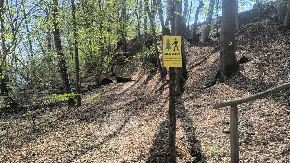 Zdjęcie przedstawia znak zakazu wstępu do lasu, wprowadzony w związku z uszkodzeniem drzewostanu i zagrożeniem od erozji. Fot. Krzysztof Jaskóła Nadleśnictwo Sieraków